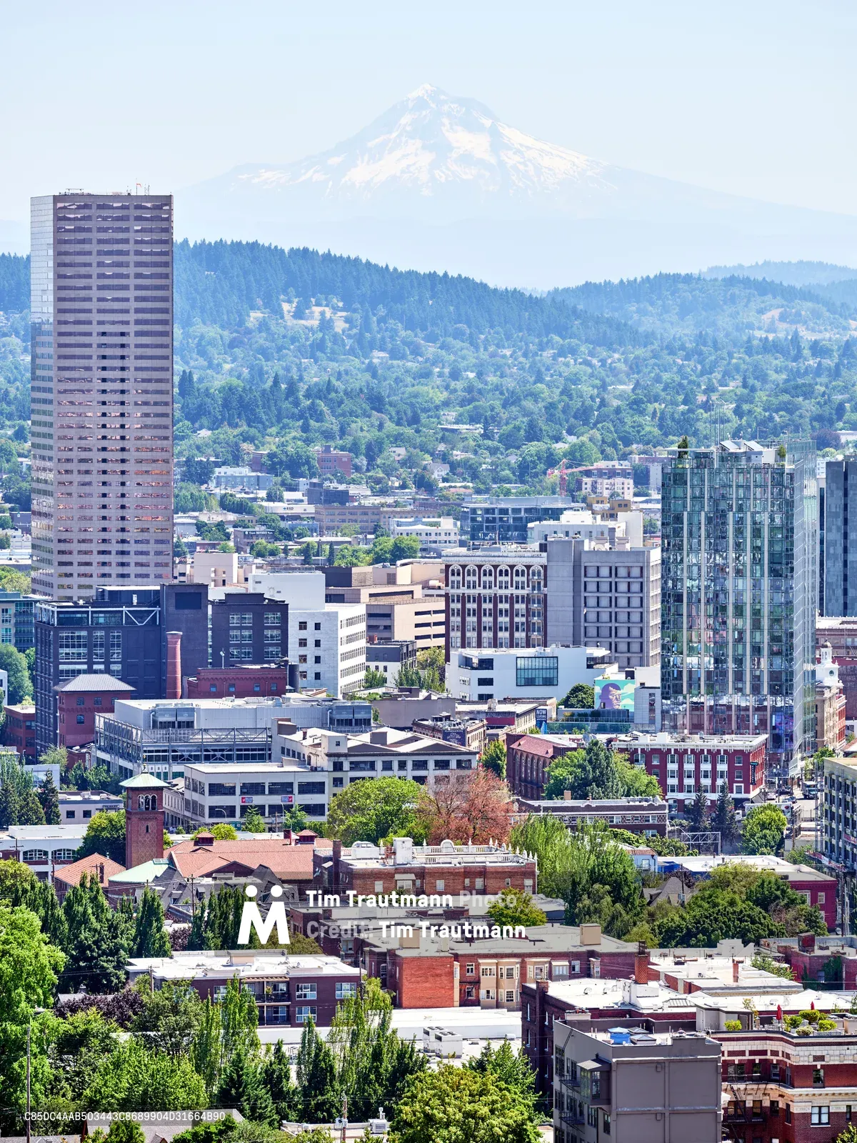 The urban tapestry of downtown Portland unfolds beneath the watchful presence of snow-capped Mount Hood, creating a quintessential Pacific Northwest tableau. Modern glass towers and residential high-rises punctuate the dense cityscape, while verdant hillsides cascade into the metropolitan core under soft, hazy daylight. The iconic volcanic peak looms majestically in the distance, its glaciated summit providing a dramatic natural backdrop to the bustling urban environment below.
