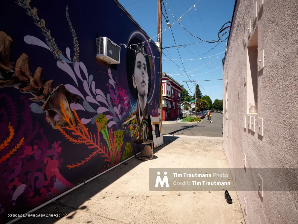 A vibrant street mural dominates the left wall of a narrow alleyway in Portland's Division Street district, featuring a striking portrait of a woman surrounded by explosive botanical motifs in deep purples, fiery oranges, and electric greens. The composition creates a dramatic contrast between the colorful street art and the sun-bleached concrete surfaces, with string lights overhead adding an intimate atmosphere to this urban arts corridor. Afternoon light casts sharp shadows across the walkway, while the alley opens to reveal glimpses of the neighborhood's characteristic residential architecture beyond.