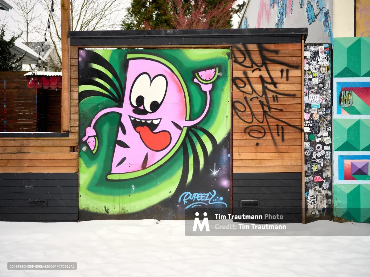 A vibrant street art mural dominates a wooden fence panel, featuring a pink cartoon character with googly eyes and protruding tongue set against swirling green cosmic backdrop. The playful creation by artist Rupeezy contrasts sharply with the weathered cedar siding and adjacent sticker-bombed utility pole. Winter snow blankets the ground beneath bare trees, while geometric murals in turquoise and coral hues frame the composition on neighboring structures.