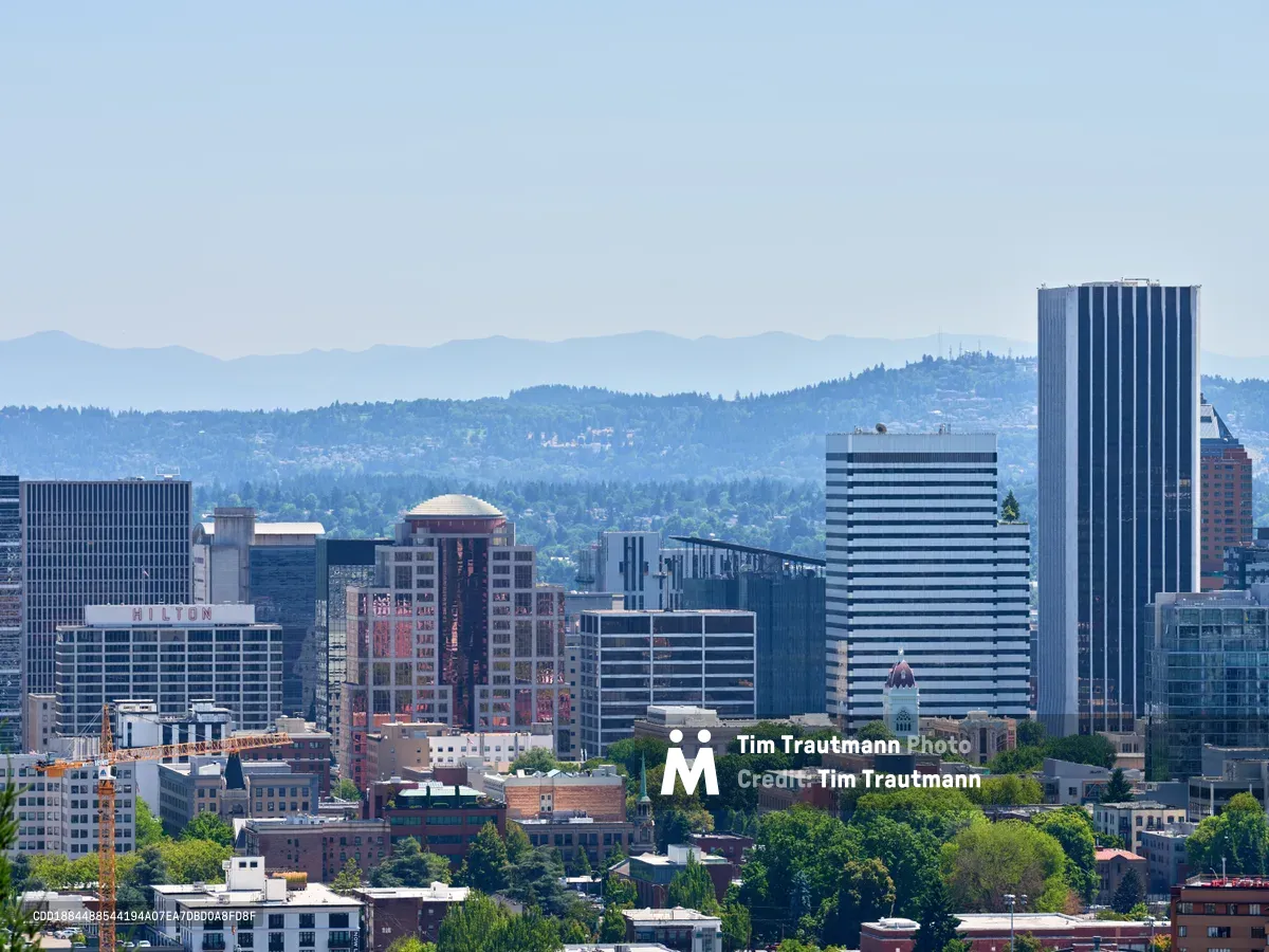 The downtown Portland skyline emerges through a soft atmospheric haze, viewed from the elevated vantage point of Kings Heights. Modern glass towers and mixed-use buildings create a dense urban tapestry in the foreground, while the verdant canopy of mature trees weaves through the cityscape. The distant Cascade Range forms a misty blue backdrop, creating layers of depth that dissolve into the pale sky, capturing the Pacific Northwest's characteristic blend of urban sophistication and natural beauty.