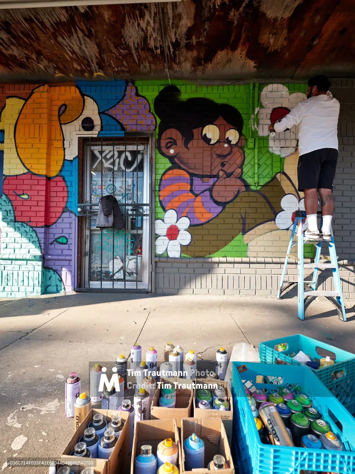Muralist Heysus stands atop a ladder, carefully adding details to a colorful character-driven mural on a brick wall in Portland's Northeast Alberta district. The scene captures the artist mid-creation, surrounded by an impressive arsenal of spray paint cans organized in cardboard boxes and plastic crates on the concrete sidewalk below. The weathered ceiling overhead and security-grated doorway frame this intimate documentation of urban art in progress.