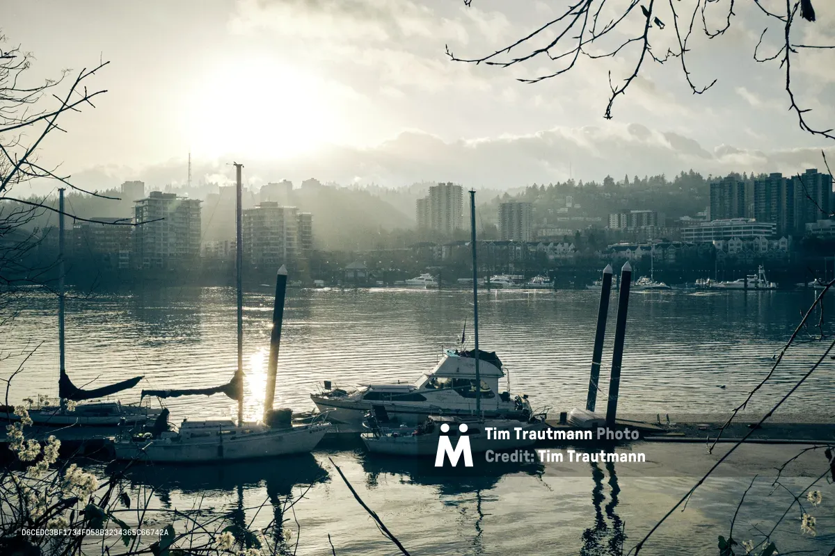 An ethereal afternoon scene unfolds at Holman Dock along Portland's Eastbank Esplanade, where pleasure boats rest in silvered water beneath a gossamer veil of mist. The filtered sun pierces through overcast skies, casting metallic reflections across the Willamette River while the city's skyline emerges ghostlike through the atmospheric haze. Bare winter branches frame the composition, creating natural borders around this contemplative maritime tableau where urban development meets the tranquil rhythm of harbor life.
