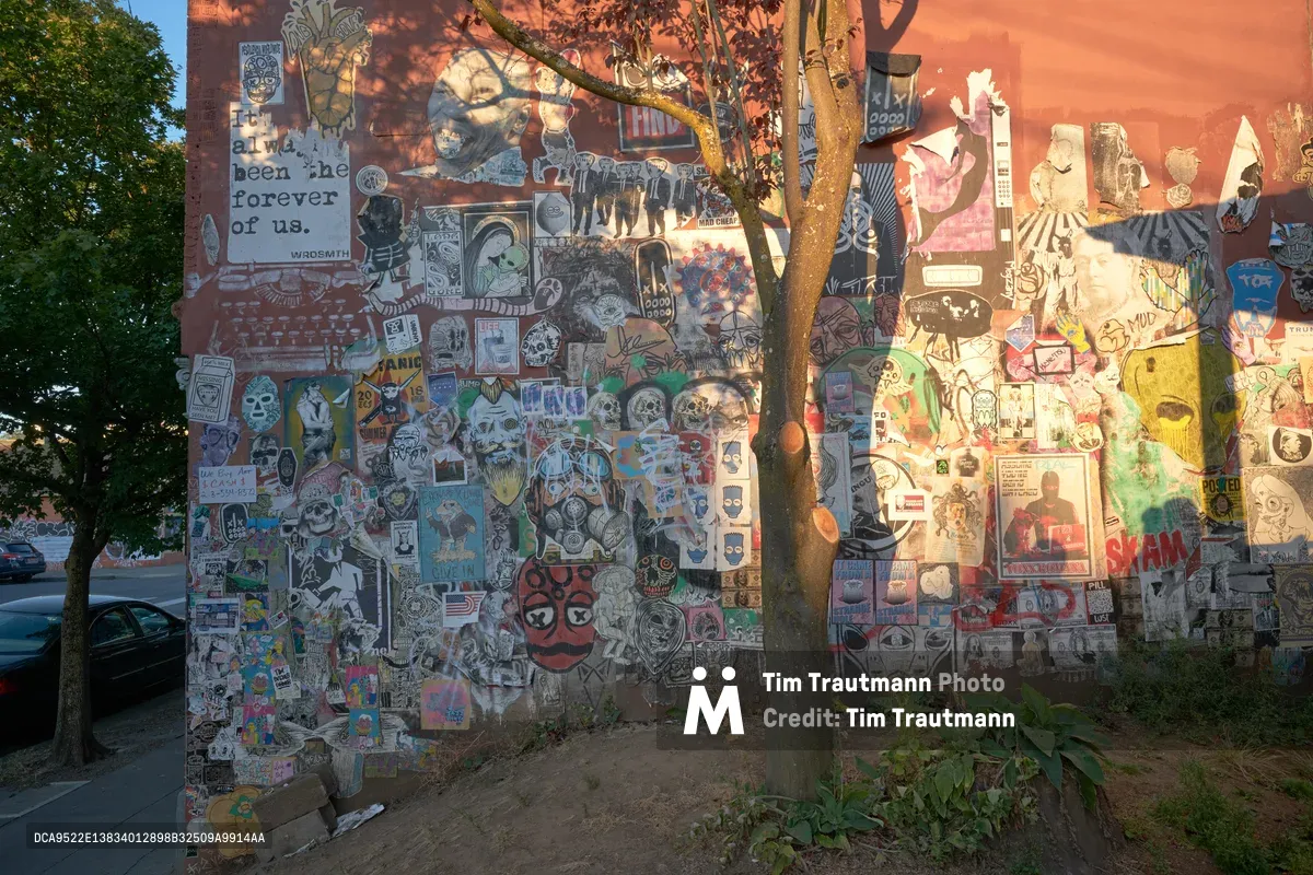A weathered brick wall in Portland's Alberta Arts District serves as an organic gallery for hundreds of overlapping stickers, creating a dense tapestry of street art and underground culture. Golden hour light filters through tree branches, casting dappled shadows across the eclectic mix of skull imagery, band logos, political messages, and artistic designs. The phrase 'it's always been the forever of us' stands prominently among the visual chaos, while a leafy tree grows directly in front of the wall, its trunk creating a natural frame within this urban canvas.