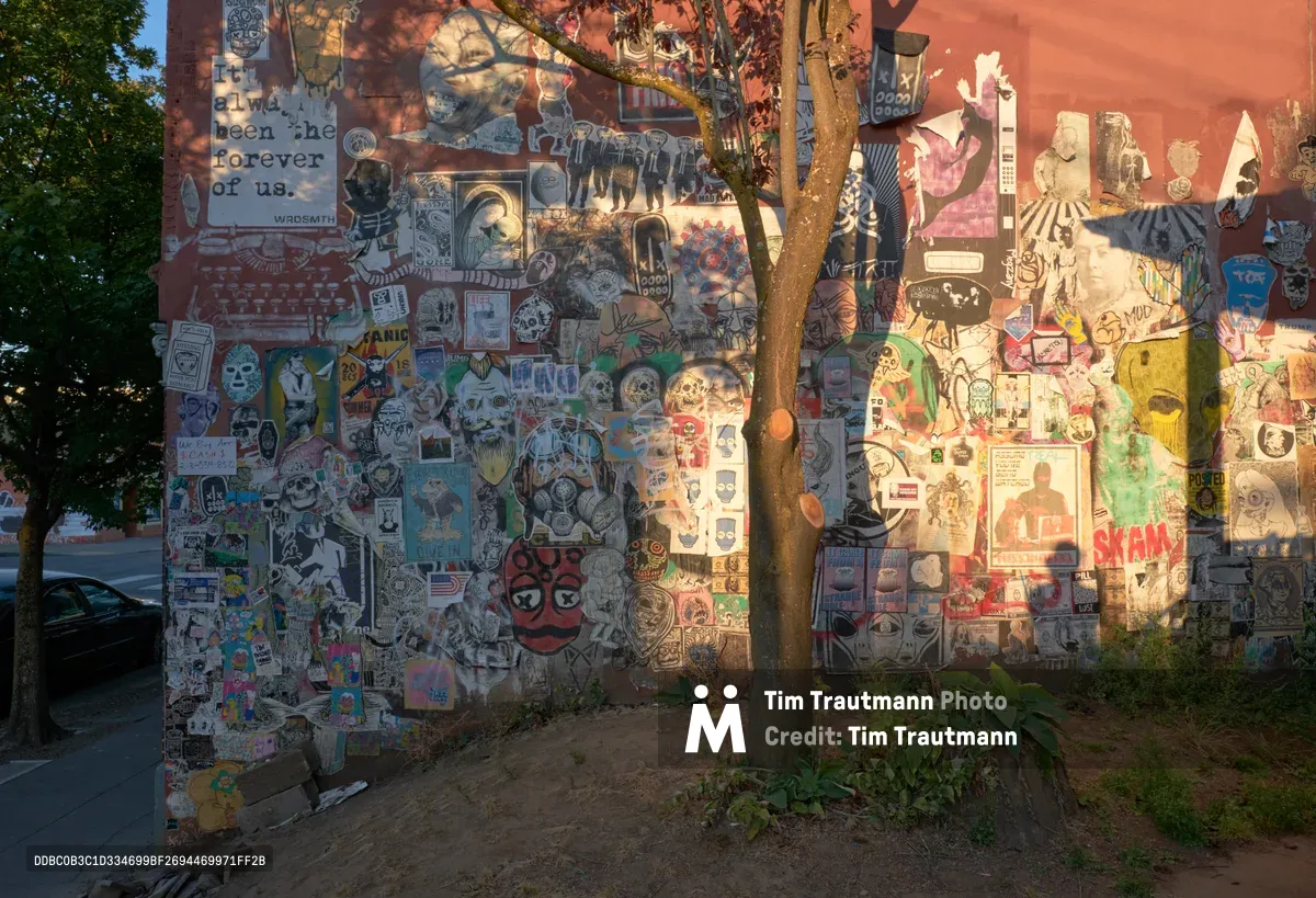 A densely layered brick wall transforms into an urban canvas along Northeast Alberta Street in Portland's Vernon neighborhood. Hundreds of stickers, wheat paste art, and small-scale street art pieces create a chaotic yet harmonious collage, featuring skulls, portraits, text fragments, and counterculture imagery. Golden afternoon light filters through tree branches, casting dappled shadows across the weathered surface while illuminating the vibrant pinks, blues, and earth tones of this organic gallery. The composition captures the raw authenticity of Portland's grassroots creative culture.