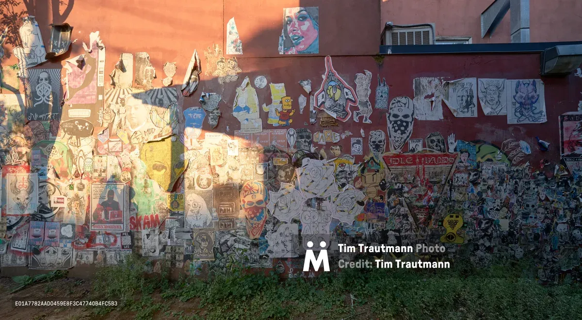 A dense collage of street art stickers, posters, and small artworks blankets a weathered brick wall in Portland's Alberta Arts District. Hundreds of pieces overlap in chaotic layers—from hand-drawn skulls and cartoon characters to political statements and artist tags—creating a living gallery of underground expression. The warm amber light of golden hour bathes the installation, while wild vegetation creeps up from below, suggesting the organic growth of this impromptu public art space.