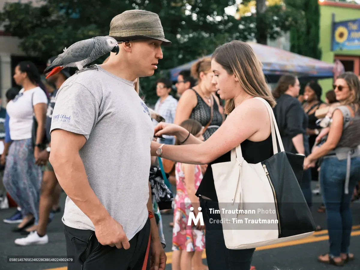 A young man in a gray fedora cradles an African Grey parrot on his shoulder while engaging with a woman carrying shopping bags at Portland's Last Thursday street fair on Alberta Street. The intimate moment unfolds against the bustling backdrop of the monthly community gathering, with warm evening light filtering through the crowd of festival-goers browsing vendors and socializing in the Concordia neighborhood.
