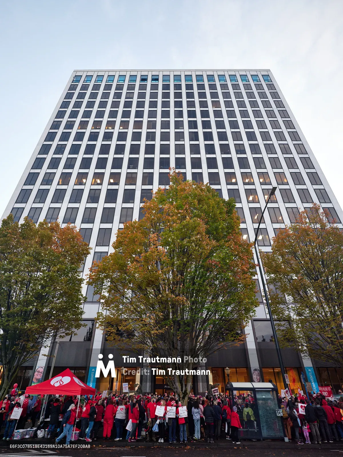 A sea of striking nurses in crimson scrubs and union red congregates at the base of Portland's imposing Kaiser Permanente Tower, their collective presence creating a powerful visual contrast against the building's stark modernist facade. The late afternoon light casts a cool blue wash over the scene while autumn trees frame the corporate monolith, their golden leaves echoing the warmth of the protesters' resolve. Signs and banners punctuate the crowd as healthcare workers mass in organized defiance, transforming the sterile corporate plaza into a stage for labor activism.
