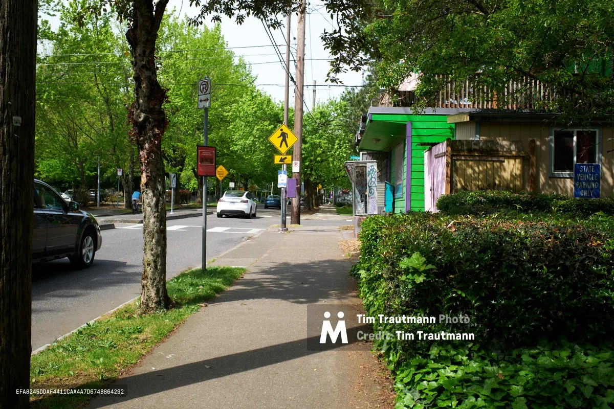 Dappled sunlight filters through mature street trees onto a concrete sidewalk in Portland's Eliot neighborhood. A vibrant lime green building houses what appears to be a small business, while leafy hedges frame the pedestrian pathway. The peaceful residential street scene captures the tree-lined character of North Williams Avenue, with parked cars and street signage creating an authentic urban neighborhood atmosphere.