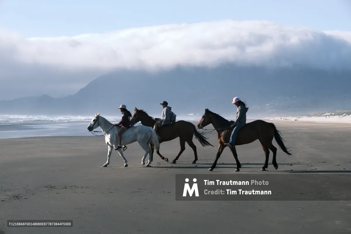 Three equestrians traverse the wet sand of Wheeler Beach, their horses' hooves creating rhythmic impressions along the Pacific shoreline. The scene unfolds beneath brooding coastal mountains shrouded in maritime mist, where rolling waves meet the expansive Oregon beach. A white horse contrasts dramatically with two darker mounts, while their riders move in quiet procession through the moody coastal atmosphere.