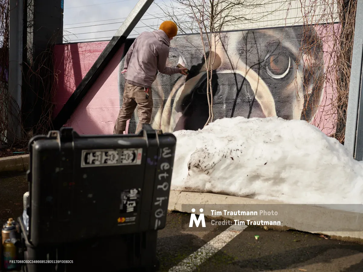 Muralist Wetiko meticulously applies paint to a striking elephant portrait on an exterior wall in Portland's Hosford-Abernethy neighborhood. The artist, wearing a bright orange beanie and earth-toned clothing, works with focused concentration while winter light filters through bare tree branches. A digital display showing 14:32:43 anchors the foreground, creating a temporal marker against the snow-dusted concrete steps and vibrant pink building backdrop.
