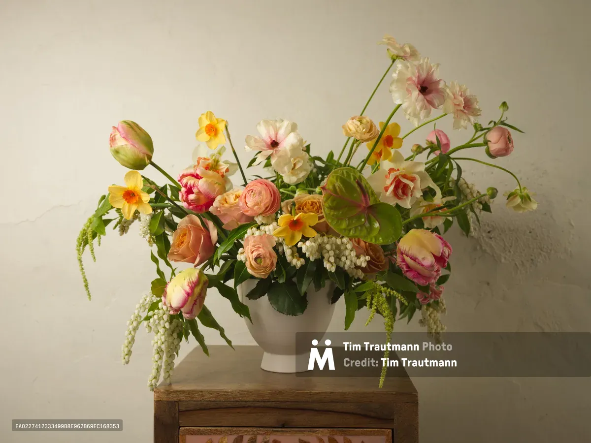 A carefully composed floral arrangement bursts with seasonal Pacific Northwest blooms in a cream ceramic vessel. The collection features coral ranunculus, sunshine-yellow daffodils, blush tulips, and cascading white pieris, punctuated by verdant foliage that speaks to Portland's fertile growing season. Soft natural light bathes the arrangement against a warm neutral backdrop, creating gentle shadows that emphasize the organic curves and delicate textures of each bloom.