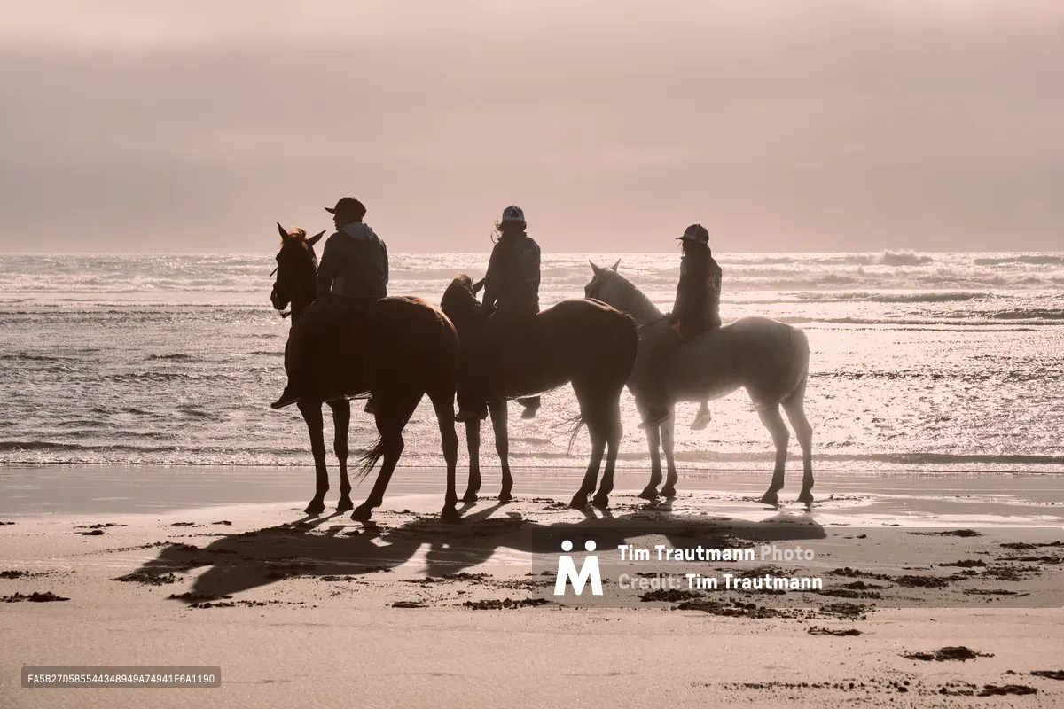 Four silhouetted horseback riders gather at the water's edge on Wheeler Beach along Oregon's coast, their forms rendered as dark shadows against the luminous pink-gold twilight sky. The gentle surf creates silver ribbons across the wet sand while the riders appear to share a quiet moment of contemplation, their horses standing patiently as waves whisper against the shore. Long shadows stretch across the beach, creating dramatic contrast in this serene coastal scene captured during the golden hour.