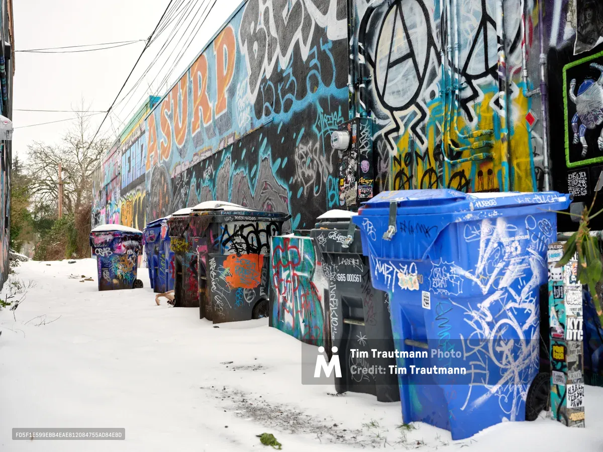 A snow-dusted alleyway transforms into an open-air gallery along Northeast Alberta Street in Portland's Concordia neighborhood. Weathered waste bins become canvases themselves, their surfaces layered with vibrant tags and street art that mirror the explosive mural rising behind them. The pristine white snow creates a stark contrast against the riot of colors—electric blues, oranges, and blacks—while power lines slice through the overcast winter sky, framing this raw expression of urban creativity.