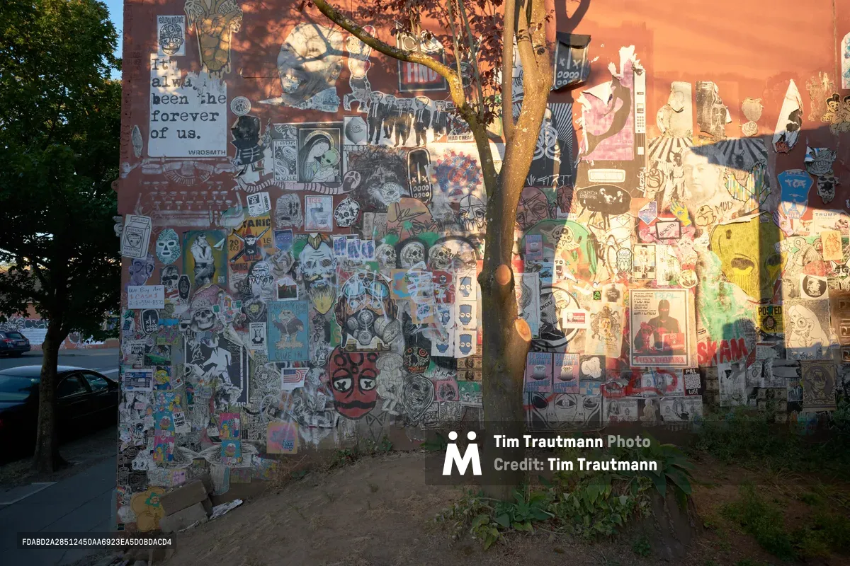 A towering brick wall in Portland's Alberta Arts District transforms into an anarchic canvas of layered stickers, wheat-paste posters, and graffiti tags. Golden afternoon light filters through leafy branches, casting dappled shadows across the densely packed visual chaos that includes skulls, cartoon characters, political statements, and underground art. The massive collage spans the entire facade, creating a living museum of street culture where countless artists have left their mark over time.