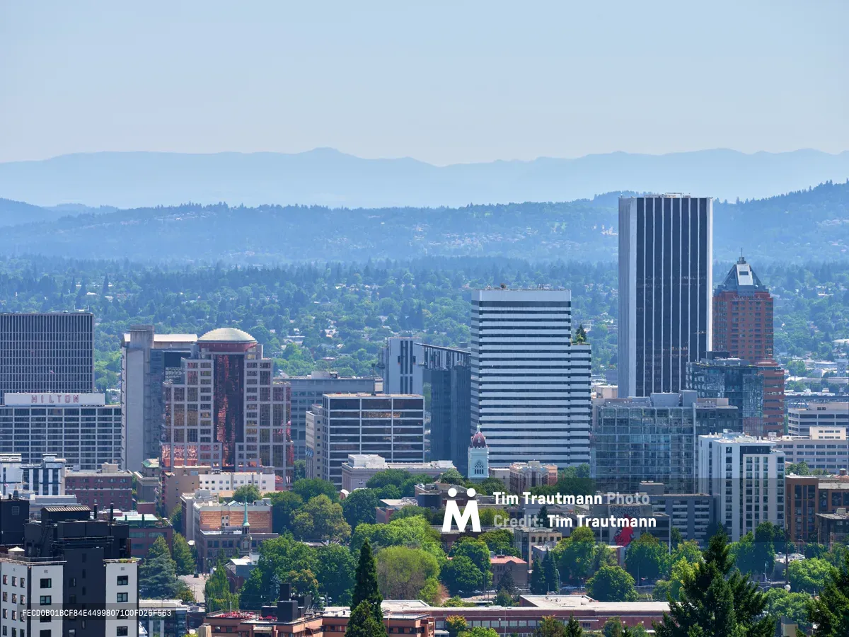An elevated perspective captures Portland's downtown core rising from a verdant canopy of neighborhood trees, with the distinctive cylindrical US Bancorp Tower and horizontal-striped KOIN Center anchoring the skyline. The Cascade Range mountains create a ethereal blue backdrop through the Pacific Northwest's characteristic atmospheric haze. Green residential foliage in the foreground transitions seamlessly into the urban density, showcasing Portland's reputation as a city that harmoniously blends nature with metropolitan development.