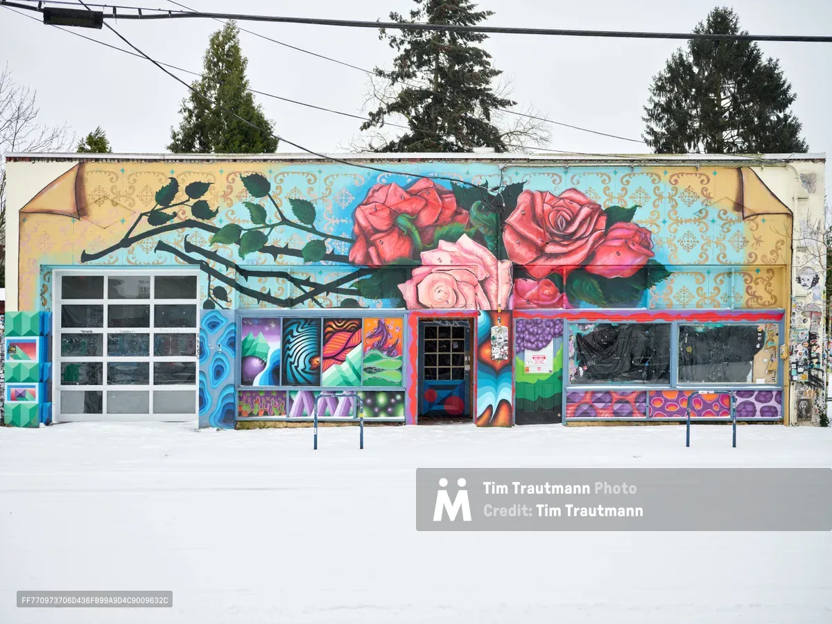 A vibrant street art mural transforms an industrial building facade on Portland's Alberta Street, featuring an elaborate composition of red and pink roses sprawling across ornate golden wallpaper patterns. The artwork spans the entire width of the structure, incorporating existing garage doors and windows into a kaleidoscope of geometric patterns, swirling blues, and botanical motifs. Snow blankets the ground beneath towering evergreen trees, creating a stark winter contrast against the warm, blooming imagery that celebrates the neighborhood's artistic renaissance.