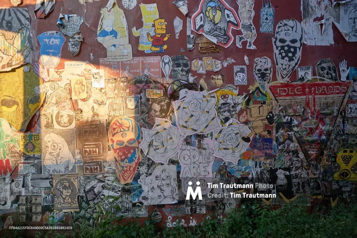 A densely layered wall of street art and stickers creates a chaotic tapestry of urban expression in Portland's Alberta Arts District. Hundreds of overlapping pieces range from hand-drawn characters like Bart Simpson to political statements, skull imagery, and pop culture references, all weathered by time and layered with new additions. The afternoon light catches the texture of peeling papers and faded colors against the dark brick surface, while wild vegetation creeps up from below, slowly reclaiming the bottom edge of this ever-evolving canvas.