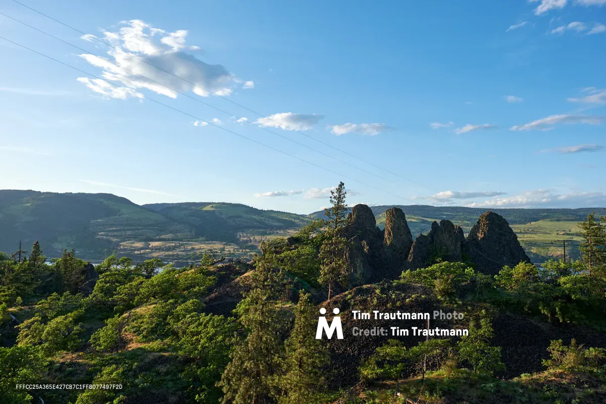 Jagged basalt rock formations pierce through verdant vegetation on Oregon's Memaloose Plateau, creating a dramatic foreground against the sweeping Columbia River Gorge valley. Power lines traverse the azure sky dotted with white clouds, while rolling hills extend toward the horizon in layers of green and gold. The afternoon light illuminates the volcanic remnants and lush Pacific Northwest landscape, capturing the raw geological beauty where ancient lava flows carved this iconic terrain.