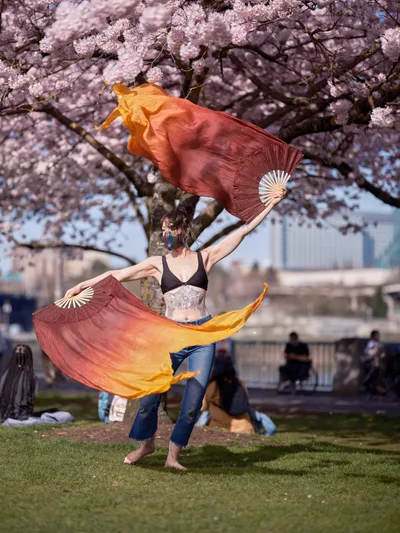 A barefoot performer spins gracefully on the green lawn of Tom McCall Waterfront Park, her gradient silk fans creating fiery arcs of orange and burgundy against the pale pink canopy of blooming cherry trees. The dancer, wearing jeans and a black top with visible tattoos, commands the space beneath the delicate sakura blossoms while park visitors relax on benches in the soft-focused background. The scene captures the ephemeral magic of Portland's cherry blossom season, where urban parkland becomes a stage for spontaneous artistic expression.