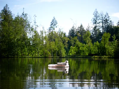 An inflatable raft drifts serenely across the glass-like surface of a tranquil lake, its form creating a perfect reflection in the still water. The scene is framed by a verdant shoreline where fresh spring foliage in brilliant greens creates a lush canopy, while tall conifers punctuate the background against a soft, overcast sky. The composition captures a moment of pure quietude, with the raft positioned as a gentle focal point within this pristine natural sanctuary.