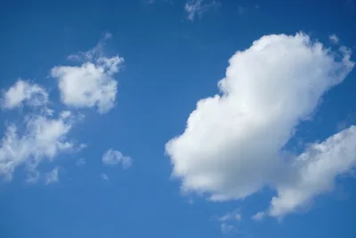 Cumulus Clouds Drift Over Washington Cascades