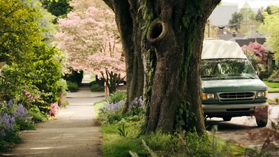 A weathered Ford van from the 1990s rests beneath the sprawling canopy of a moss-draped street tree in Portland's historic Irvington neighborhood. Cherry blossoms cascade in soft pink clouds behind the vehicle, while purple lupines and spring perennials border the cracked sidewalk. The scene captures the unhurried essence of Pacific Northwest living, where vintage utility meets botanical abundance in dappled afternoon light.