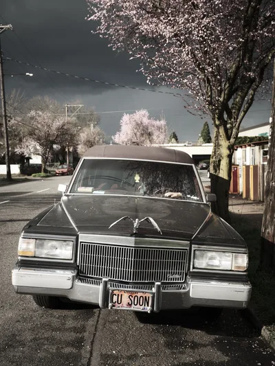 Vintage Cadillac Hearse with Humorous License Plate in Portland