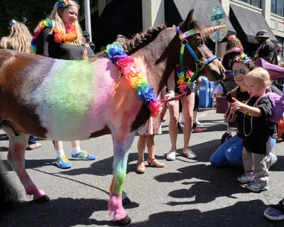 A miniature horse transformed into a living unicorn enchants the Pearl District during Portland's 2019 Pride Parade. The bay-colored pony sports a spectacular rainbow paint job across its coat, complemented by a rainbow lei garland and striped horn, while curious onlookers in Pride attire gather around this whimsical centerpiece. Bright summer sunlight illuminates the festive scene on Northwest 9th Avenue, where adults and children alike marvel at this creative celebration of LGBTQ+ pride and community spirit.