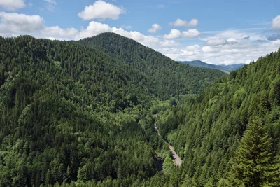 An expansive aerial view from Kings Mountain summit reveals the Northwest Wilson River Highway threading through the dense emerald tapestry of Tillamook State Forest. Billowing cumulus clouds drift across azure skies while ancient conifers blanket rolling ridgelines that stretch toward distant peaks. The narrow ribbon of State Highway 6 appears as civilization's delicate trace through this vast wilderness corridor, where shadows pool in valleys between the forested summits.