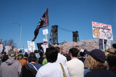 Beneath the iconic steel lattice of Portland's Burnside Bridge, hundreds of demonstrators surge through Northwest Naito Parkway during the March 2026 No Kings Protest. Political signs pierce the crystalline blue sky, including prominent displays warning against nuclear weapons and featuring caricatures of political figures. The crowd flows like a human river between the industrial waterfront and blooming cherry trees, their varied signs and banners creating a tapestry of dissent against the backdrop of Portland's historic Old Town district.