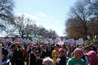 Hundreds of demonstrators gather beneath the bare winter branches of Portland's Old Town Historic District, their handmade signs creating a mosaic of political dissent against the pale afternoon sky. The crowd stretches across Southwest Ankeny Street, faces animated in passionate discourse as colorful protest signs bearing messages like 'No TCE' and 'End Trump's War on Intellect' rise above the sea of winter clothing. Sunlight filters through the leafless canopy, casting dappled shadows over this moment of civic engagement in the heart of Chinatown.