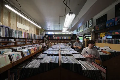 Music Millennium Record Store Vinyl Browsing