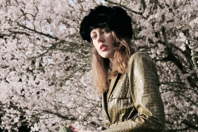 Spring Reverie Beneath Cherry Blossoms