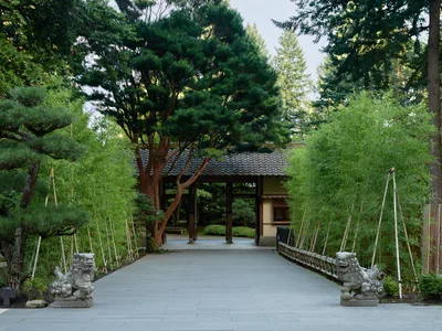 Stone guardian lions flank a pristine concrete walkway leading toward the traditional entrance gate of Portland's renowned Japanese Garden in Arlington Heights. The ceremonial path, bordered by delicate bamboo fencing and lush emerald foliage, draws the eye through a tunnel of verdant canopy toward the classic tile-roofed gatehouse. Filtered afternoon light creates a serene atmosphere of contemplation and cultural reverence in this meticulously curated landscape.