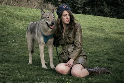 Canine Companion at Mount Tabor Park