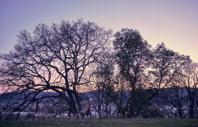 A lone woman in flowing clothing runs across an open field in North Portland's University Park neighborhood, silhouetted against a magnificent twilight sky painted in lavender and rose hues. Towering bare oak trees frame the scene with their intricate winter branches, creating a natural cathedral above the runner's graceful movement. The ethereal light captures the quiet anticipation of Oregon's rainy season, where these dormant giants await the coming precipitation.