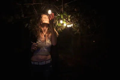 Illuminated Moment in Portland's Night Garden