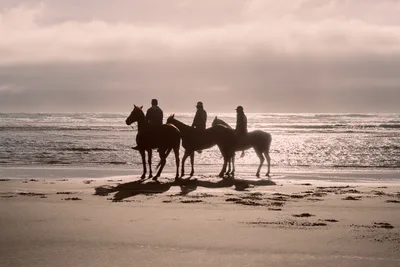 Riders at Twilight on Wheeler Beach