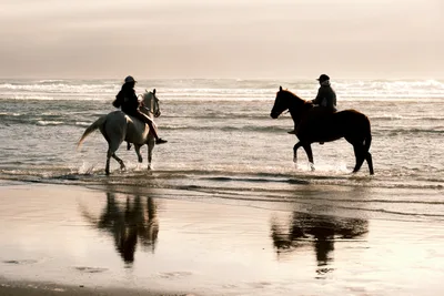 Horseback Riders at Dawn on Oregon Coast