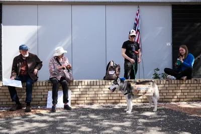 Four demonstrators gather on a brick-lined sidewalk in Portland's Lloyd District, their makeshift protest anchored by handwritten signs and an American flag. An elderly man in a blue cap sits beside a woman in a floral shirt, while a middle-aged protester stands with the flag and a husky wearing a protest sign. Dappled sunlight filters through overhead trees, casting gentle shadows across the scene as a young woman in blue observes from the right, creating an intimate portrait of grassroots civic engagement.