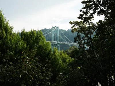 Saint Johns Bridge Through Forest Canopy