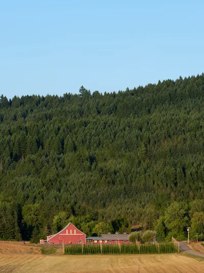 Red Barn Nestled Beneath Oregon Forest
