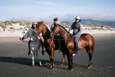 Three equestrians pause their beach ride along Oregon's dramatic coastline near Wheeler, their mounts - a dappled gray and two chestnuts - standing against the moody Pacific horizon. Rolling sand dunes frame the scene while distant coastal mountains emerge through soft maritime haze. The riders, casually dressed in baseball caps and hoodies, embody the relaxed spirit of Pacific Northwest beach culture, their horses' hooves having traced temporary paths across the tide-compacted sand.