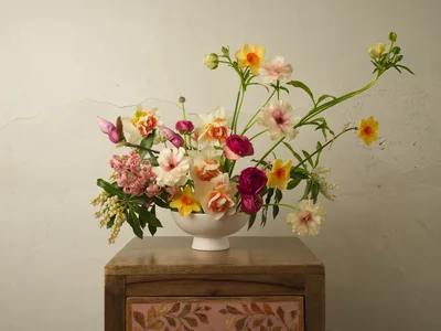 A spirited floral composition cascades from a matte white ceramic bowl, positioned on a weathered wooden chest adorned with hand-painted botanical motifs. The arrangement pulses with Oregon's spring palette—burgundy ranunculus nestle against coral-tinged daffodils, while pale pink cosmos and cream blooms create luminous counterpoints. Graceful stems of jasmine and delicate buds extend beyond the vessel's rim, their organic curves softened by gentle natural light that bathes the textured plaster wall behind.