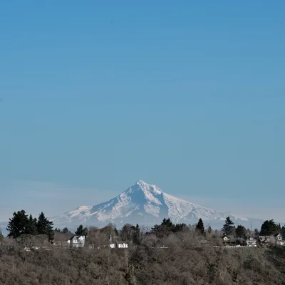 The snow-capped summit of Mount Hood dominates the southern horizon, its glaciated peak catching soft afternoon light against a gradient sky that deepens from pale blue to rich cerulean. In the foreground, the residential fabric of North Portland spreads across rolling hills - modest homes nestled among bare winter trees and evergreen stands, creating intimate layers of domestic life beneath the mountain's commanding presence. The composition balances urban intimacy with alpine grandeur, capturing the unique geography that defines Portland's relationship with the Cascade Range.