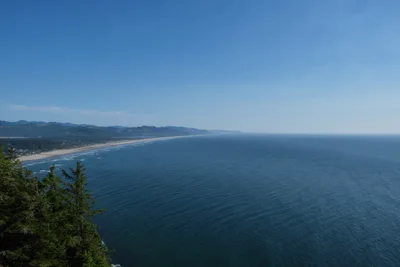 A breathtaking panoramic view unfolds from an elevated vantage point along the Oregon Coast Highway in Tillamook County, where sapphire waters meet an endless ribbon of golden sand. The pristine coastline curves gracefully into the distance, framed by forested hills that roll toward the Pacific horizon. Clear azure skies stretch overhead while gentle waves create delicate white foam patterns along the shore, and evergreen trees in the foreground provide natural framing for this quintessential Oregon coastal scene.
