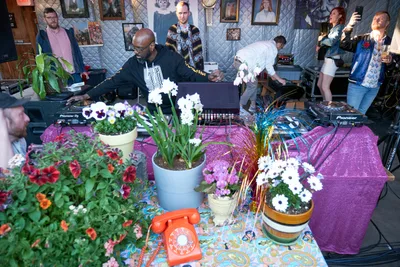 DJ Cee White commands the turntables at White Owl Social Club's Your Sunday Best day party, surrounded by an eclectic botanical arrangement of potted flowers and vintage décor. The intimate Portland venue buzzes with afternoon energy as partygoers dance behind the DJ booth, while white orchids, purple pansies, and cascading greenery transform the space into an urban garden sanctuary. Warm natural light filters through the club's quilted wall installations, creating an atmospheric blend of nature and nightlife culture.