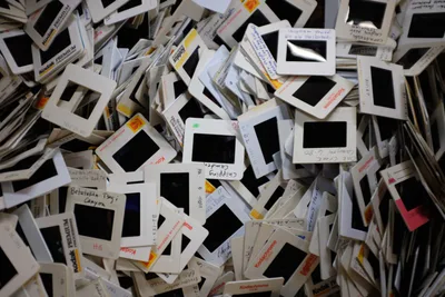 Hundreds of vintage photographic slides cascade in chaotic abundance, their white Kodachrome and generic cardboard mounts creating a mesmerizing pattern against deep black film apertures. Hand-written labels in faded ink and pencil hint at forgotten camping trips, family gatherings, and personal histories now relegated to this overwhelming pile at SCRAP PDX in Portland's Goose Hollow. The composition transforms discarded memories into an abstract landscape of geometric repetition, where each small window once held a captured moment in time.