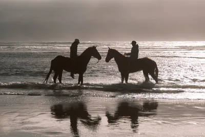 Two horseback riders emerge as stark silhouettes against the luminous Pacific surf near Wheeler, Oregon. The moody overcast sky casts a pewter glow across the wet sand, while gentle waves lap at the horses' hooves. Their dark forms create perfect reflections in the mirror-like tidal pools, capturing a moment of quiet communion between riders, horses, and the vast Oregon coastline.