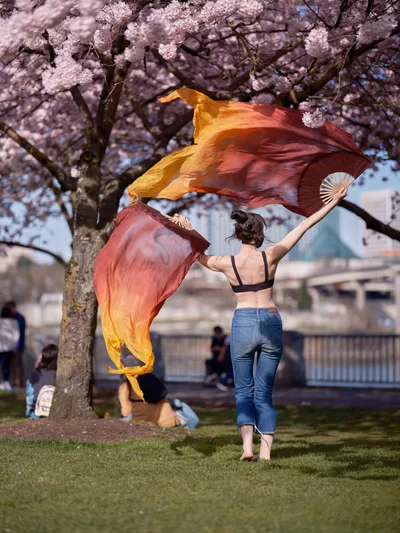 A woman in denim and a black sports bra gracefully waves flowing silk fans in gradient hues of amber and crimson beneath the delicate pink canopy of cherry blossoms at Tom McCall Waterfront Park. The dramatic fabric catches light as it billows against the soft focus of spring blooms, creating a striking juxtaposition of movement and seasonal serenity. Other park visitors rest quietly in the background, framing this moment of artistic expression during Portland's celebrated cherry blossom season.